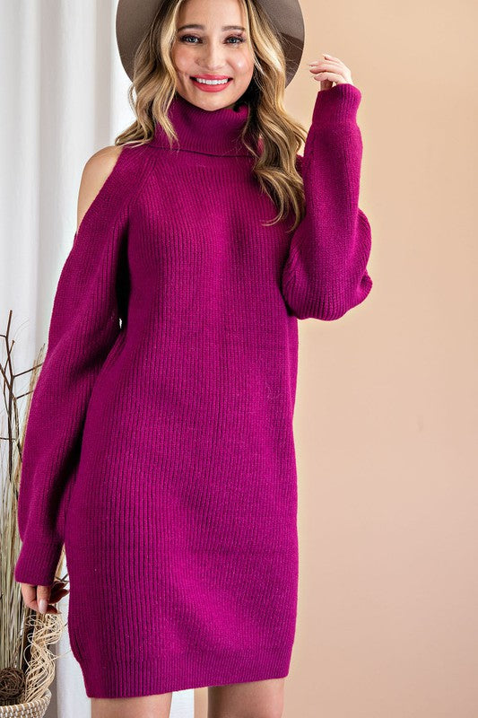 Turtleneck Sweater Dress