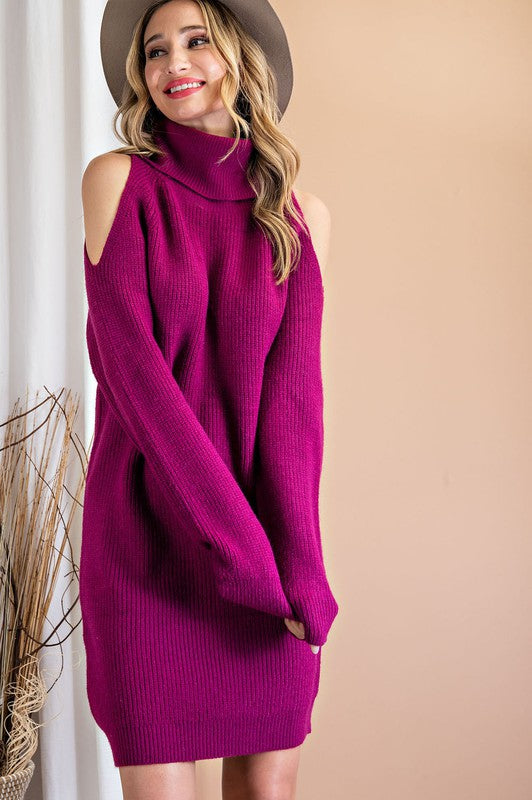 Turtleneck Sweater Dress