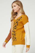 Load image into Gallery viewer, Color Block V-neck Sweater
